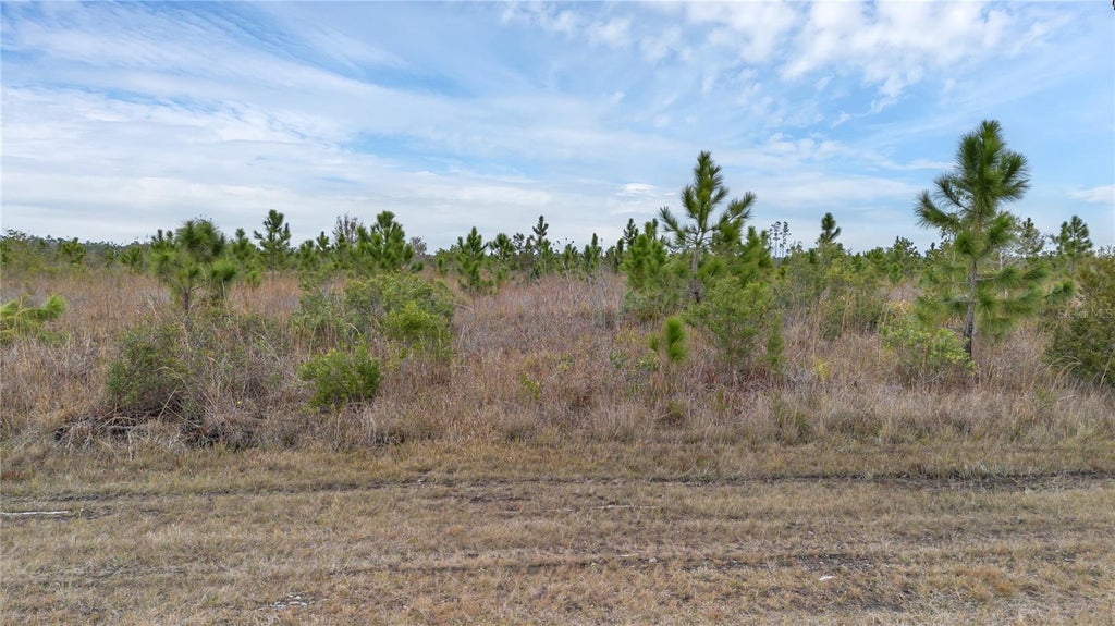 Photo of 501 Portulaca Drive, Indian Lake Estates, FL 33855 (MLS # S5155915)