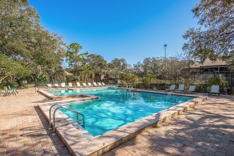 A home in PALM HARBOR