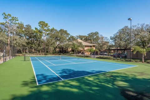 A home in PALM HARBOR