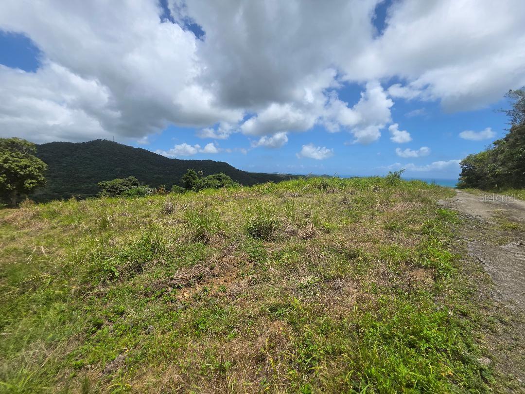 QUINTAS DE CEIBA 12