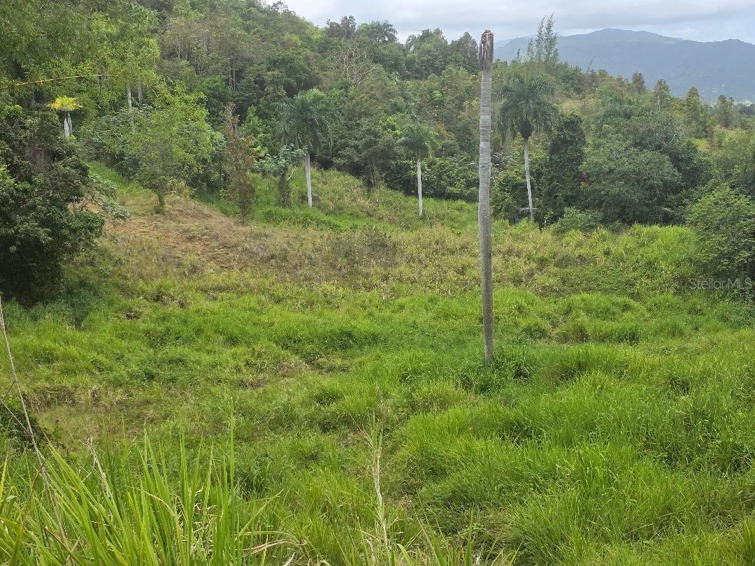 QUINTAS DE CEIBA 12