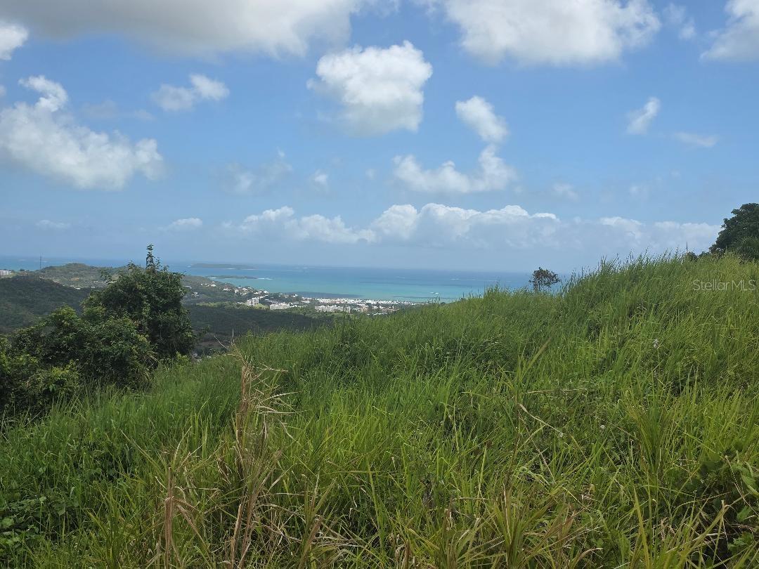 QUINTAS DE CEIBA 12