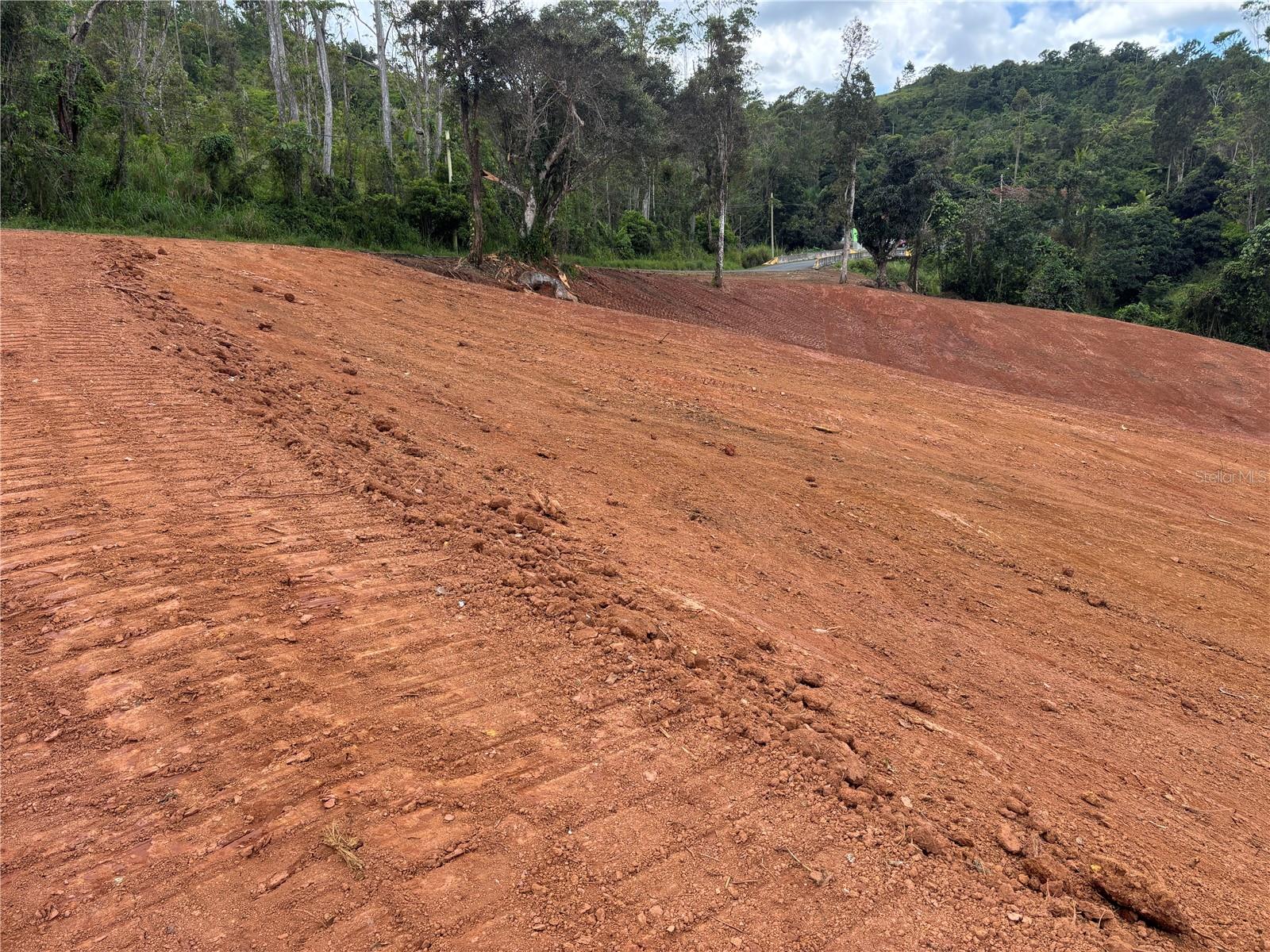 CARR 569 KM 2.7 INT BO. SABANA