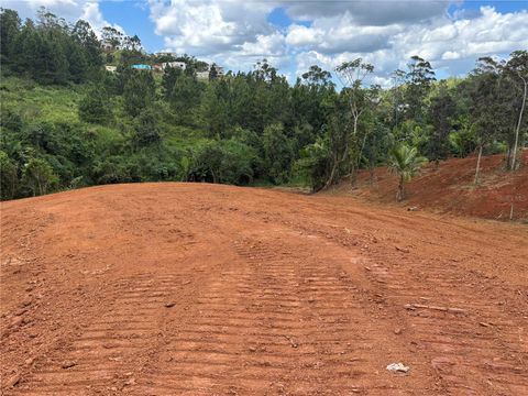 CARR 569 KM 2.7 INT BO. SABANA OROCOVIS 00720