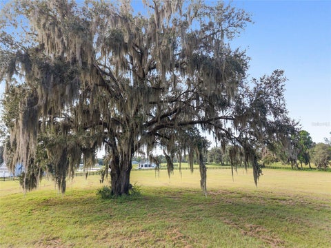 Tiny photo for 15224 NW 56th Court Road, Reddick, FL 32686 (MLS # OM734829)