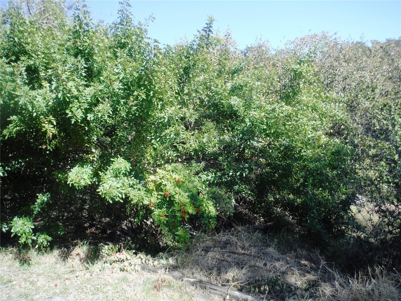 BRIAR CREEK MOBILE HOME COMMUNITY I CONDO - Residential