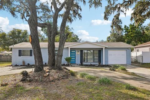 A home in TAMPA