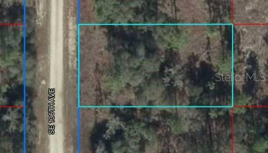 Photo of 50 SE 136th Avenue, Dunnellon, FL 34431 (MLS # OM716821)