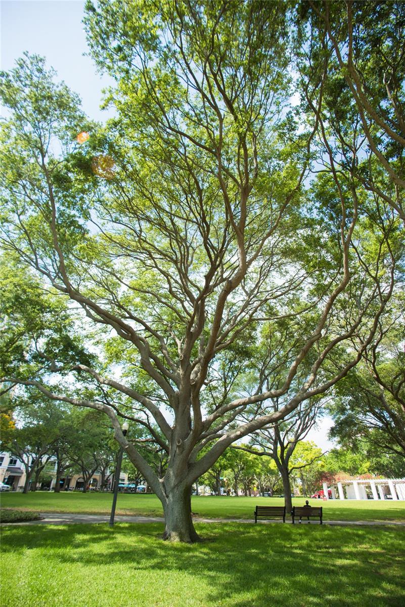 400 BEACH DRIVE CONDO - Residential