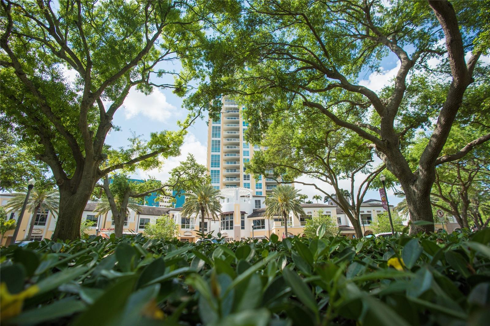 400 BEACH DRIVE CONDO - Residential