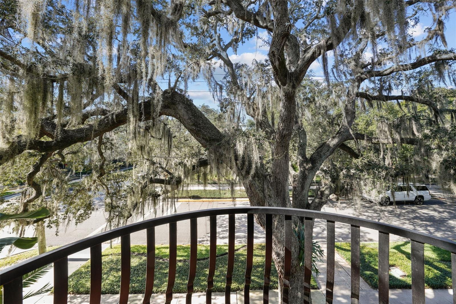 FORTUNA - Residential