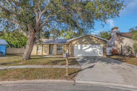 Photo of 224 Whisper Lake Road, Palm Harbor, FL 34683 (MLS # TB8457320)