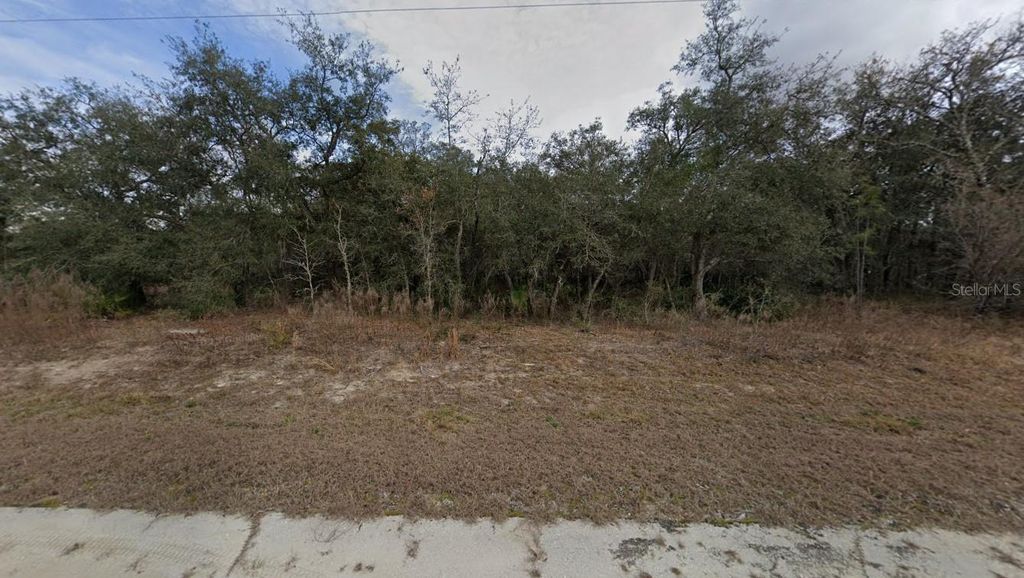 Photo of 18364 Parakeet Road, Brooksville, FL 34614 (MLS # A4692151)