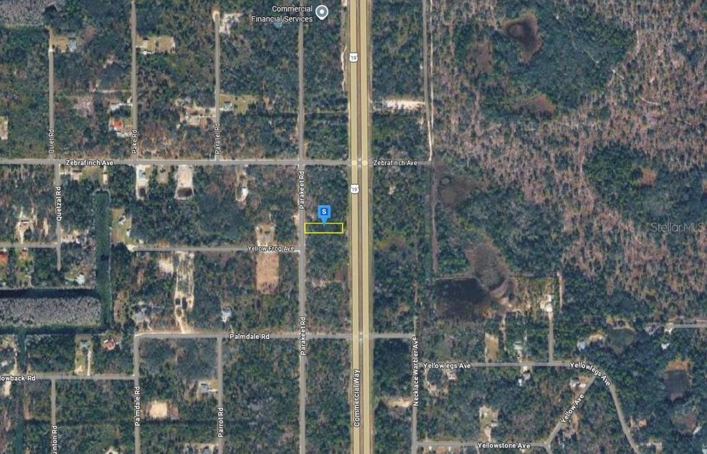 Photo of 18364 Parakeet Road, Brooksville, FL 34614 (MLS # A4692151)