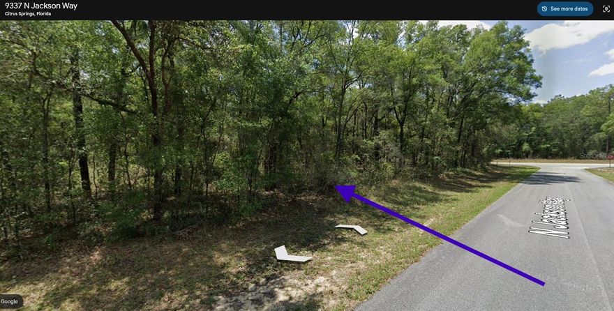 Vacant residential lot at 9337 N Jackson Way, Citrus Springs, FL 34434 (Citrus County). Public (city/county) water service may be in the area, but as of today, this homesite should be treated as requiring a private well (buyer to verify public water availability, connection requirements, and fees directly with the utility provider).
Bonus: The adjacent lot is also available for purchase — MLS # S5144740. Great opportunity to acquire side-by-side parcels.
Buyer to perform all due diligence, including zoning, setbacks, utilities/availability, flood information, and any applicable deed restrictions prior to closing.