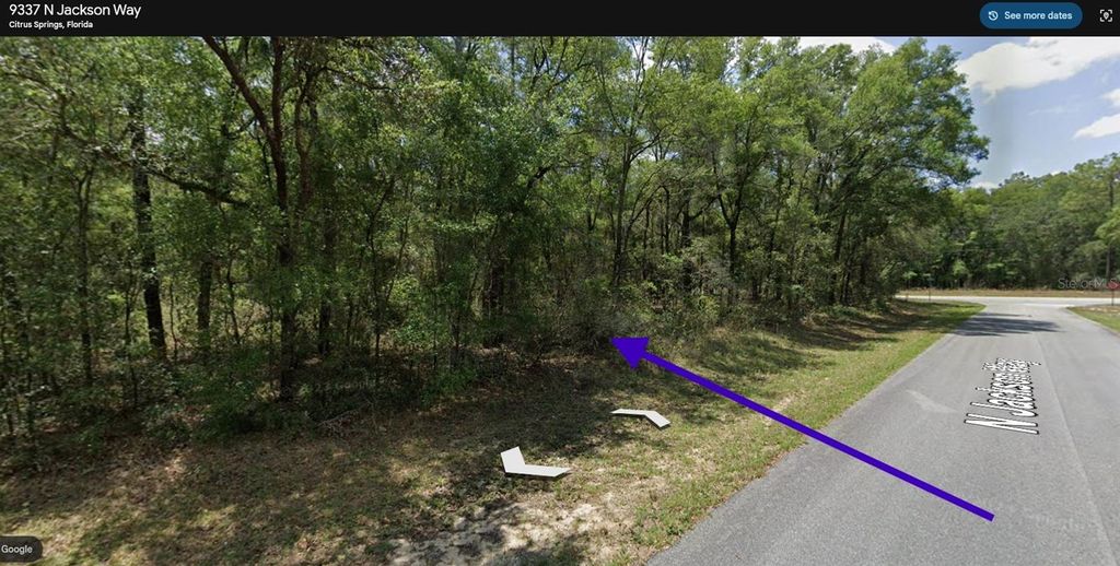 Photo of 9337 N Jackson Way, Citrus Springs, FL 34434 (MLS # S5144760)