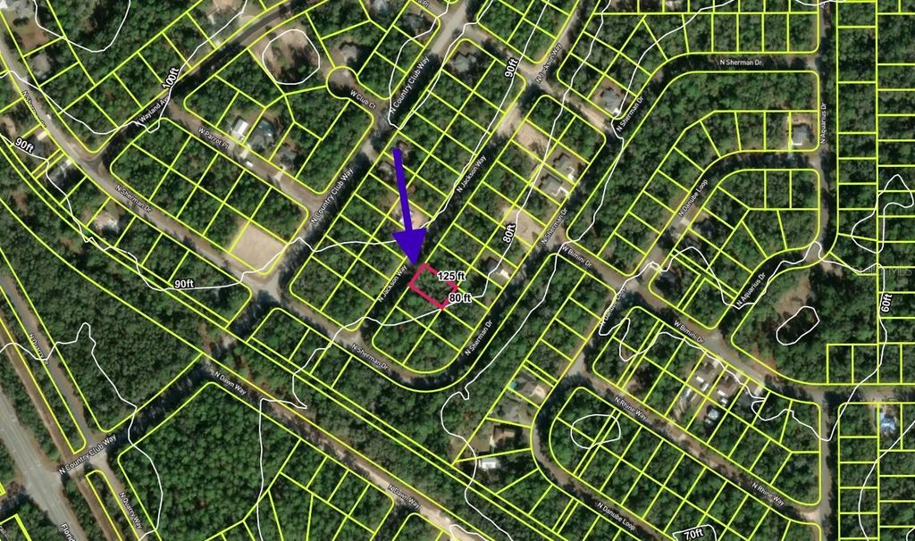 Photo of 9337 N Jackson Way, Citrus Springs, FL 34434 (MLS # S5144760)