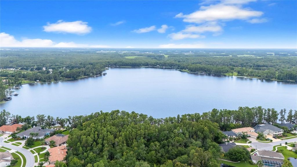 Photo of 21314 Marsh Hawk Drive, Land O Lakes, FL 34638 (MLS # TB8478560)