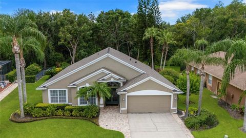21314 MARSH HAWK DRIVE LAND O LAKES FL 34638