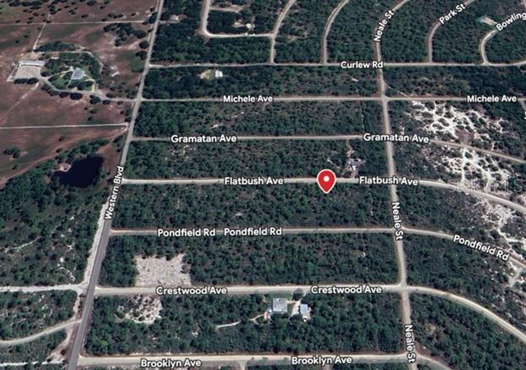 Photo of 3234 Flatbush Avenue, Lake Placid, FL 33852 (MLS # A4673024)