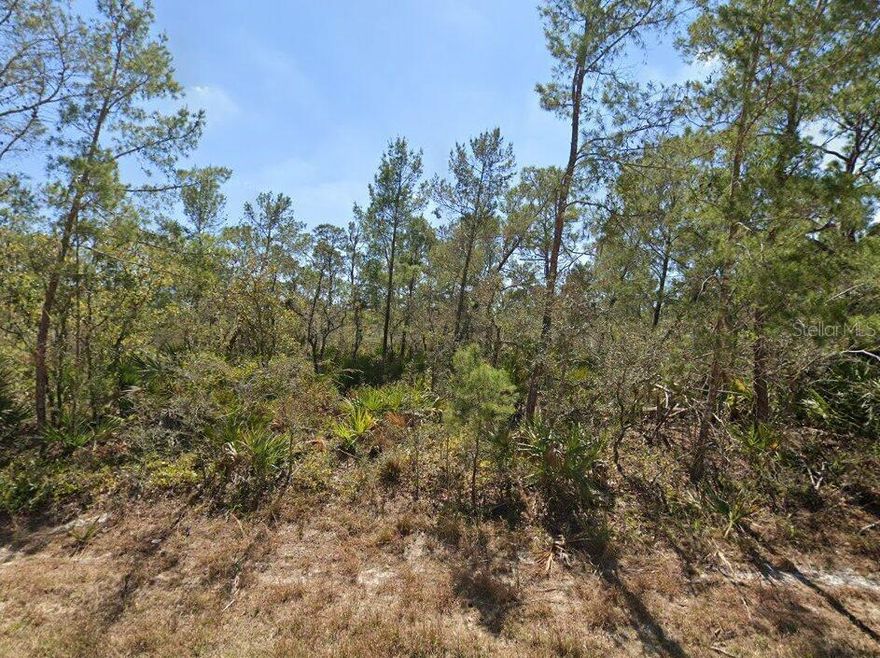 Set your sights on a spot where peaceful living comes naturally. This .23-acre lot in the serene, still-quiet community of Leisure Lakes South offers the flexibility to build your dream home now or hold it as a smart investment for the future. The area remains largely undeveloped, giving you the advantage of getting in early while still being just a short drive from everything that makes Lake Placid such a charming place to live.
