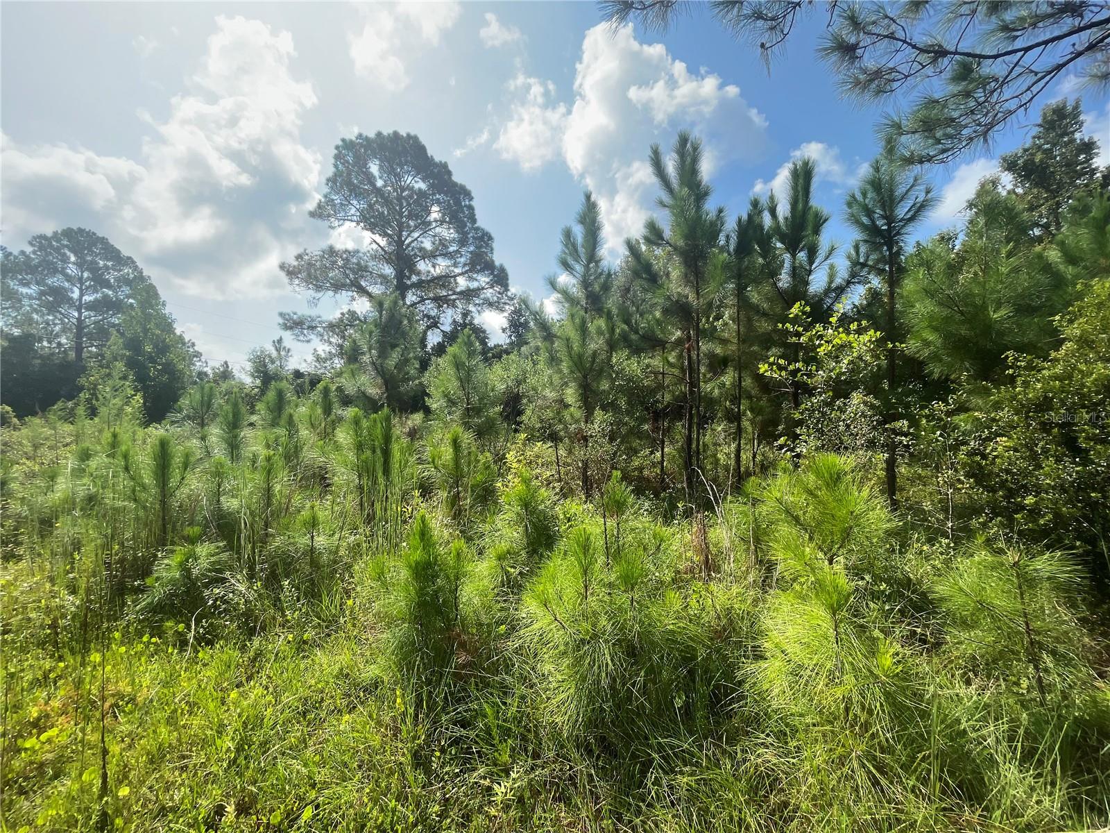 STOKES LNDG ACRES PH 03 - Land