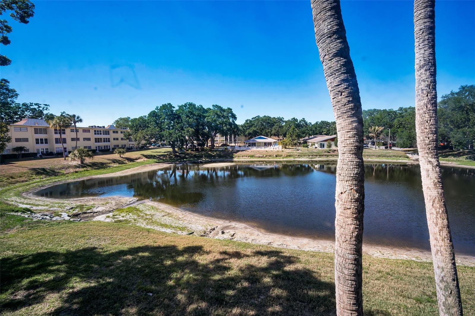 HEATHER LAKE APTS CONDO - Residential