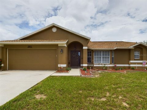 A home in LAND O LAKES