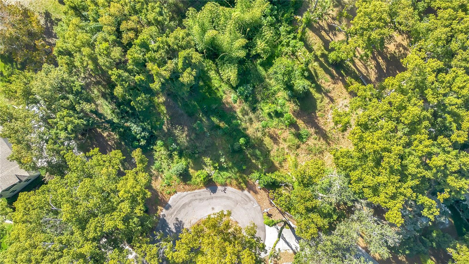 SLOEWOOD EAST - Land