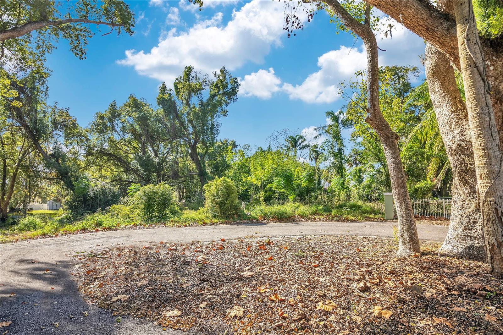 SLOEWOOD EAST - Land