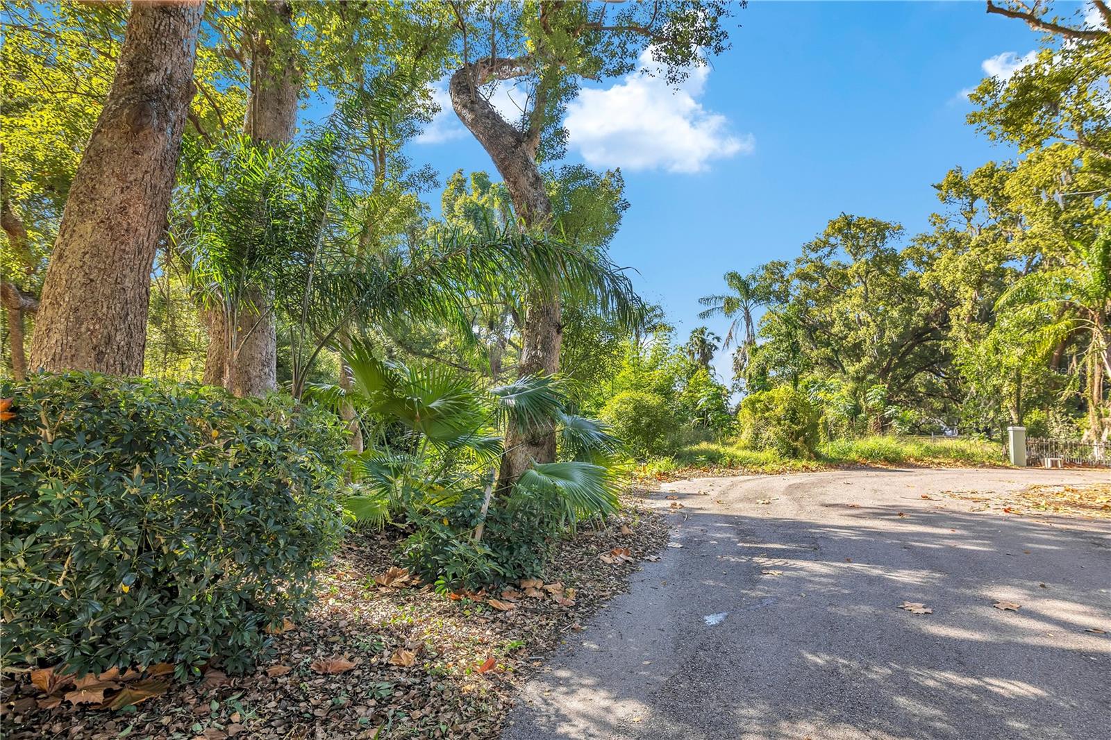 SLOEWOOD EAST - Land