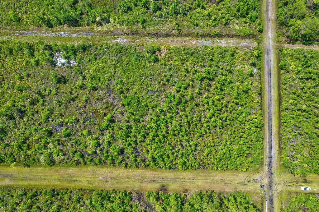 INDIAN LAKE ESTATES - Land