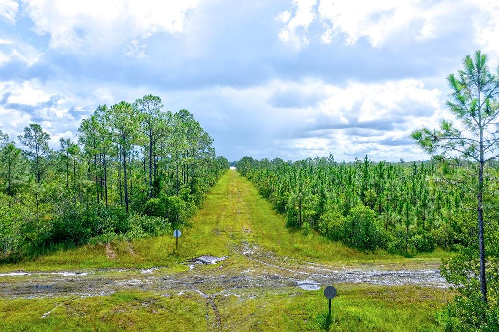 INDIAN LAKE ESTATES - Land