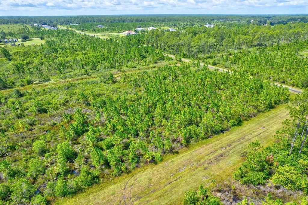 INDIAN LAKE ESTATES - Land