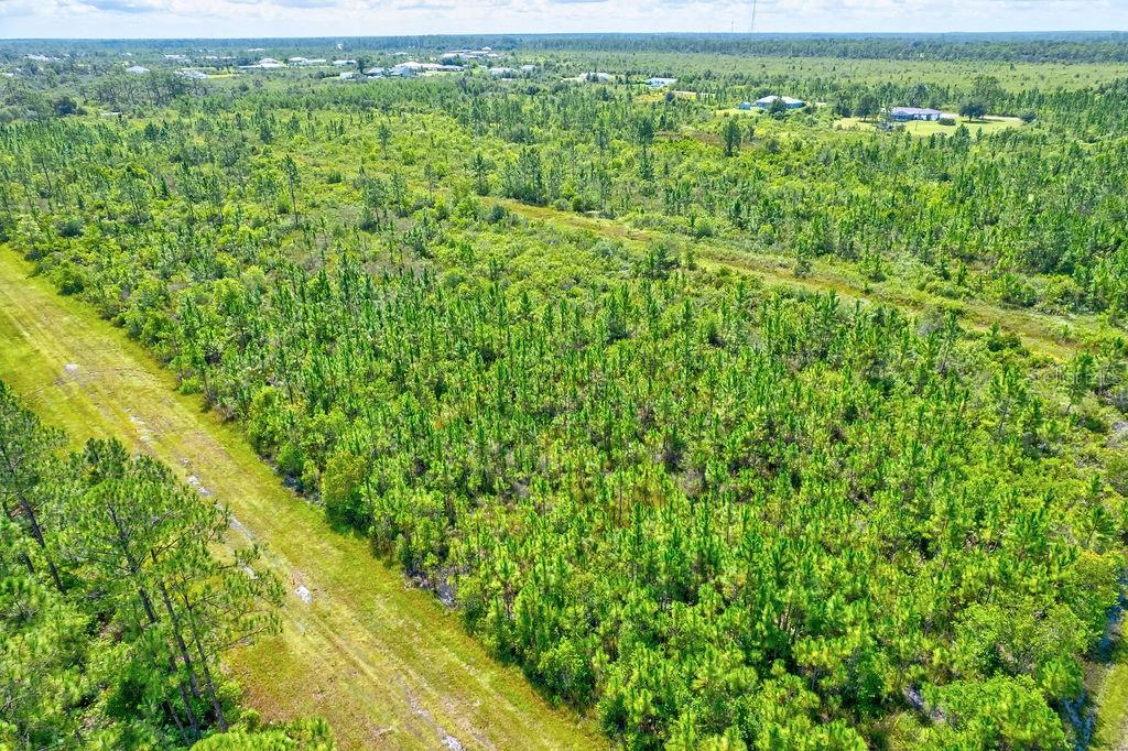 INDIAN LAKE ESTATES - Land