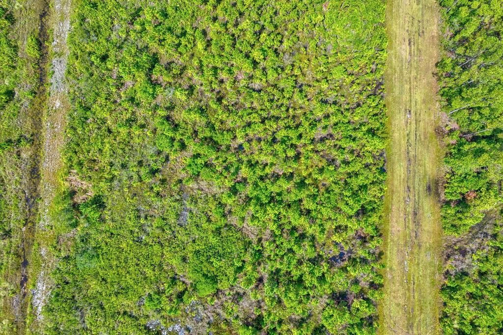 INDIAN LAKE ESTATES - Land