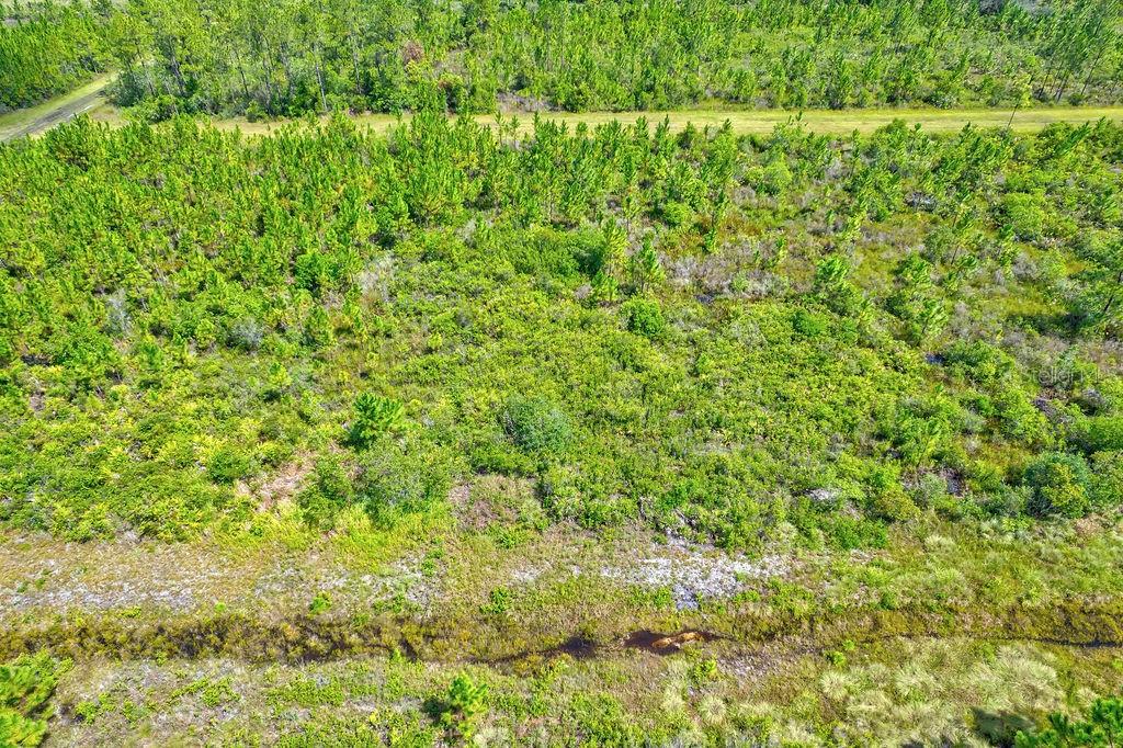 INDIAN LAKE ESTATES - Land