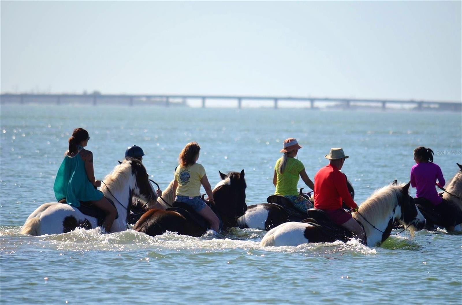 BOLLETTIERI RESORT VILLAS VIII - Residential