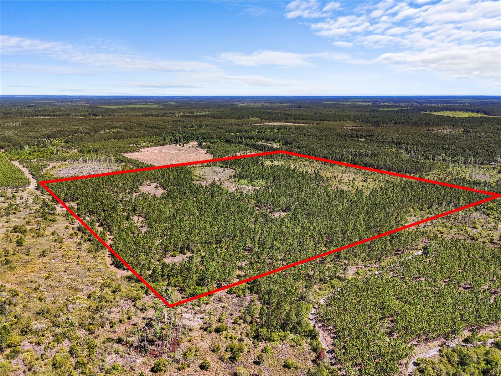 Hunters paradise!
Have you been hunting for the right property but the trophy just kept eluding your sights?
Call off your search- you won’t find a property like this at this price for years to come.
Tucked back off E county rd 225 you’ll have peace, privacy, and access to your own slice of heaven- about 30 acres of dry, wooded timber and about 10 of wetlands to bring those critters in.
Contact me today before this honey hole is gone with the wind.