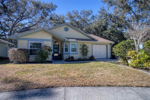 Photo of 1460 Brier Court, Palm Harbor, FL 34683 (MLS # TB8471479)