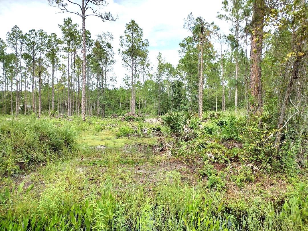 DAYTONA NORTH SUB - Land