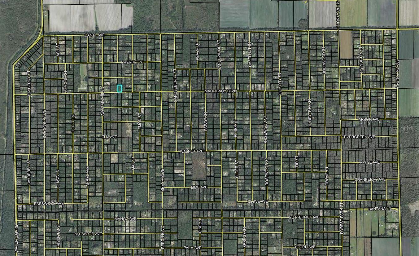 DAYTONA NORTH SUB - Land