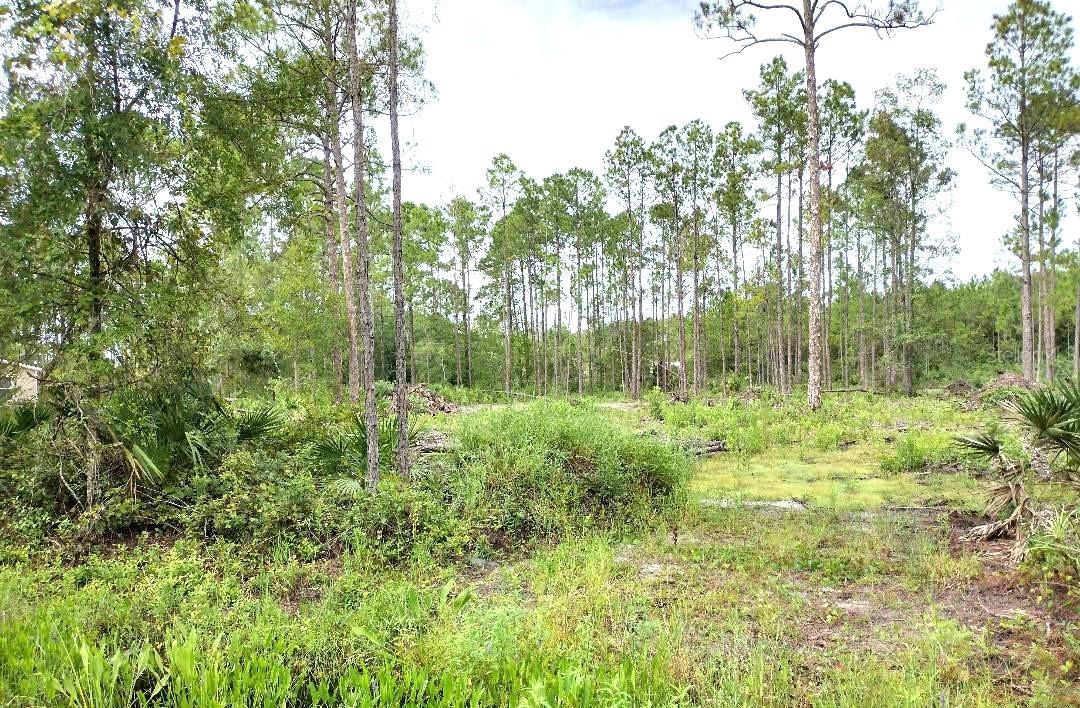 DAYTONA NORTH SUB - Land