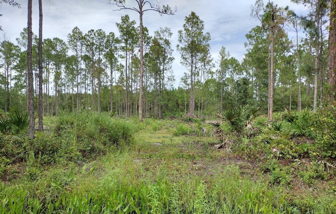 Prime location for this 165 x 300' cleared lot on paved road, zoned for a Manufacture home or site built home. RV's, work truck, storage sheds
allowed once home is on the property. NOT in a flood zone, Seller has copy of land survey on file,