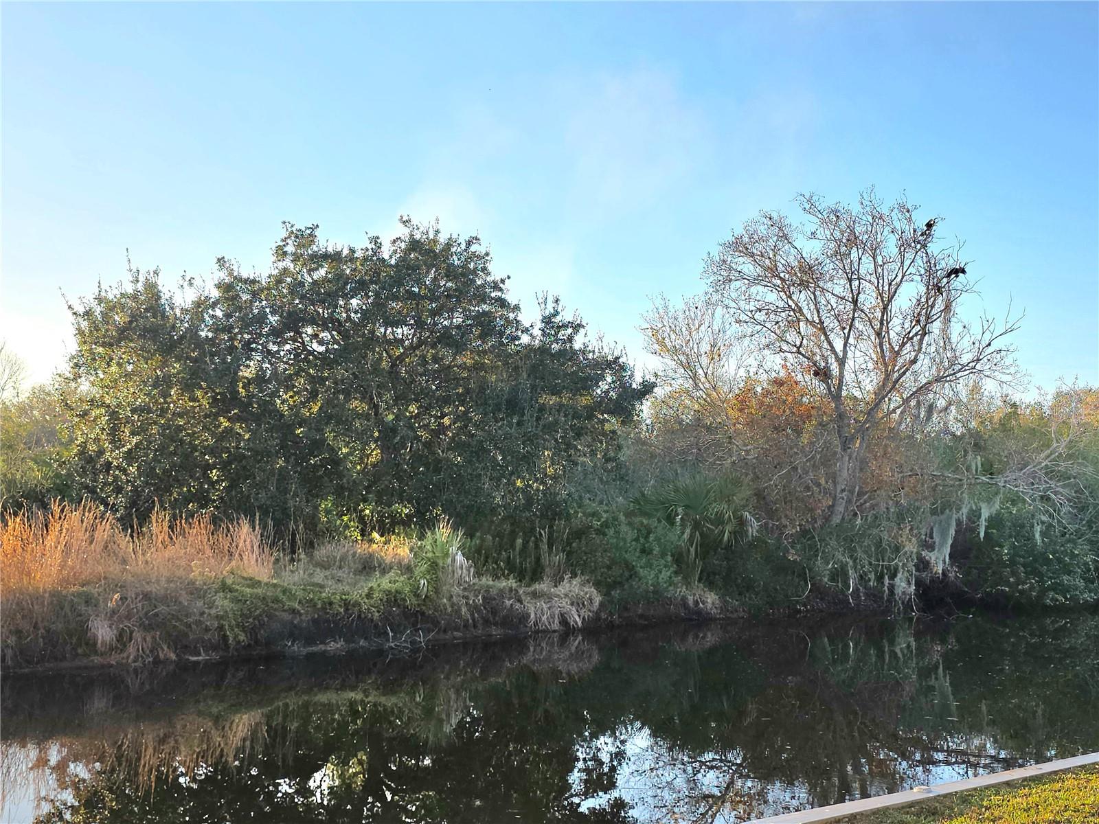 LONG HAMMOCK PH 01 - Residential