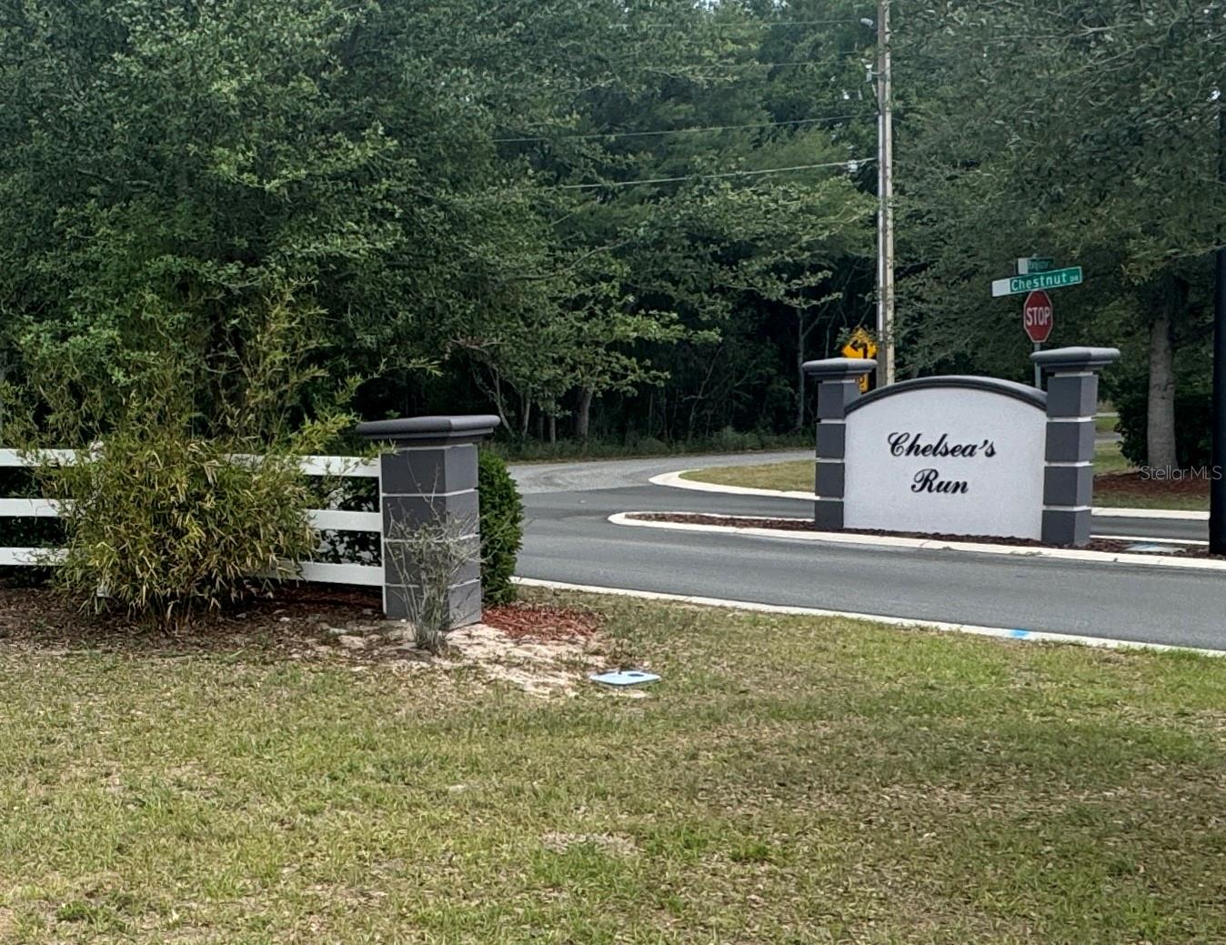 FRUITLAND PARK CHELSEAS RUN - Residential