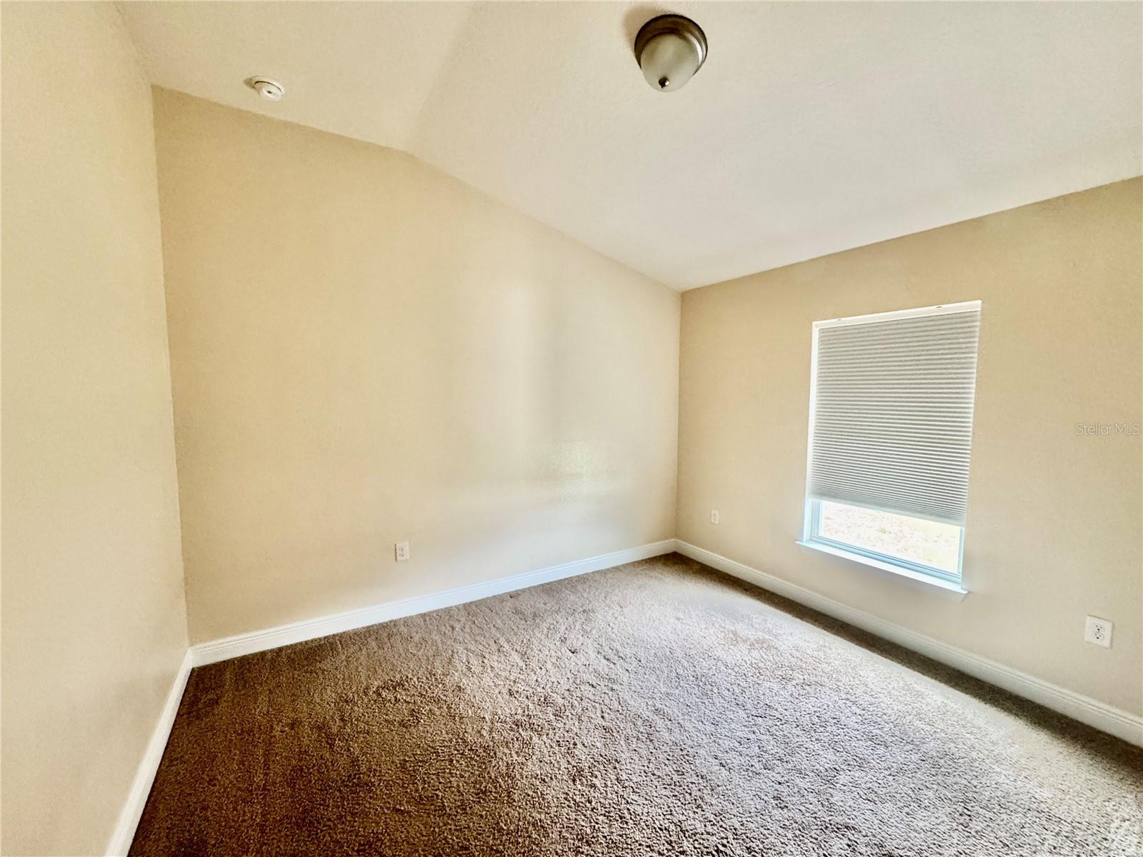 FRUITLAND PARK CHELSEAS RUN - Residential