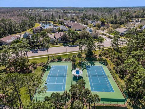 A home in ORLANDO