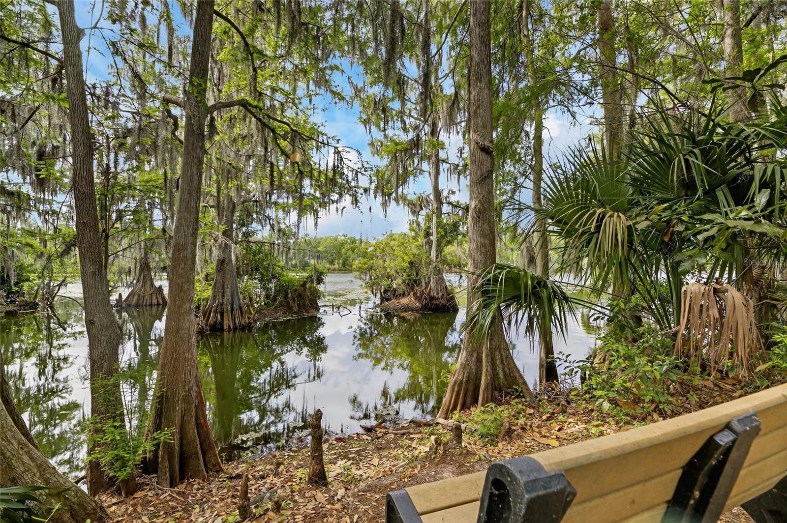 TEMPLE TERRACE RIVERSIDE SUBDI - Residential