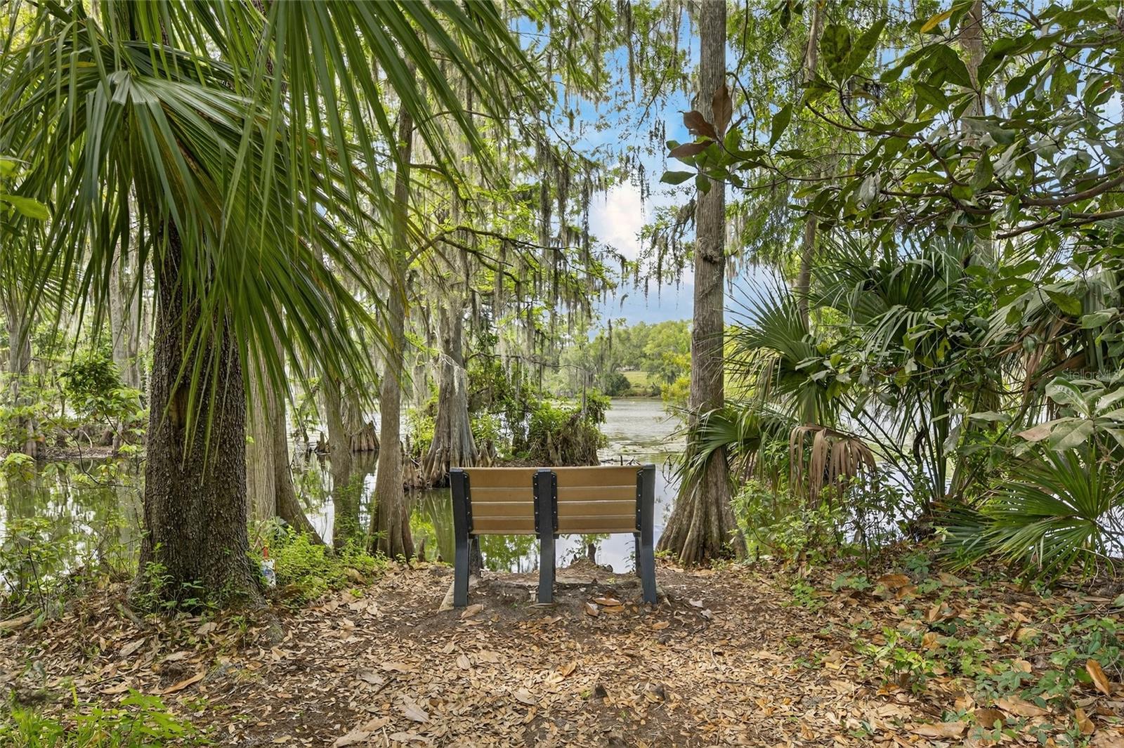 TEMPLE TERRACE RIVERSIDE SUBDI - Residential